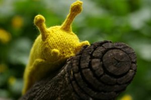 banana_slug3